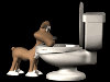 Bad Dog