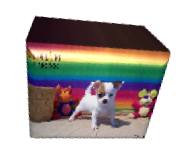 Chihuahua Puppy For Sale