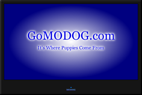 GoMODOG.com
