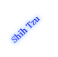 Shih Tzu

