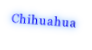 Chihuahua

