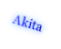 Akita

