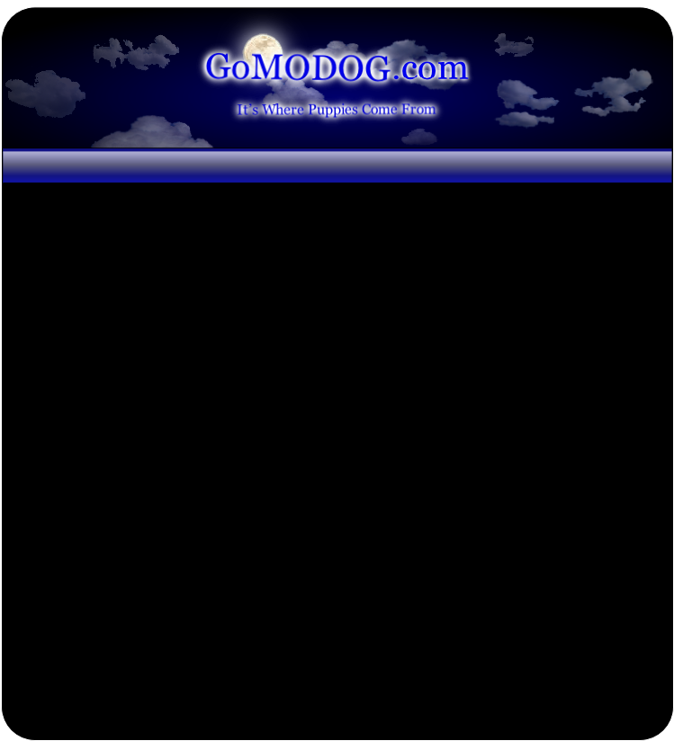 It’s Where Puppies Come From