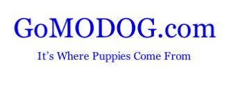 GoMODOG.com
