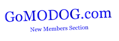 GoMODOG.com

 New Members Section



