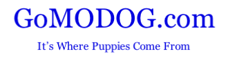 GoMODOG.com
